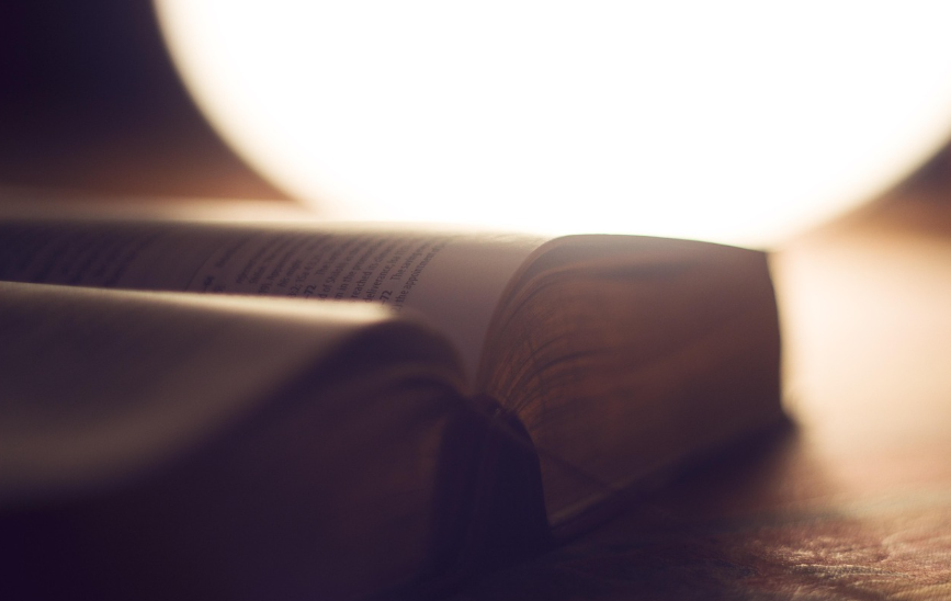 蒙古语剧本翻译服务哪家好?剧本翻译报价